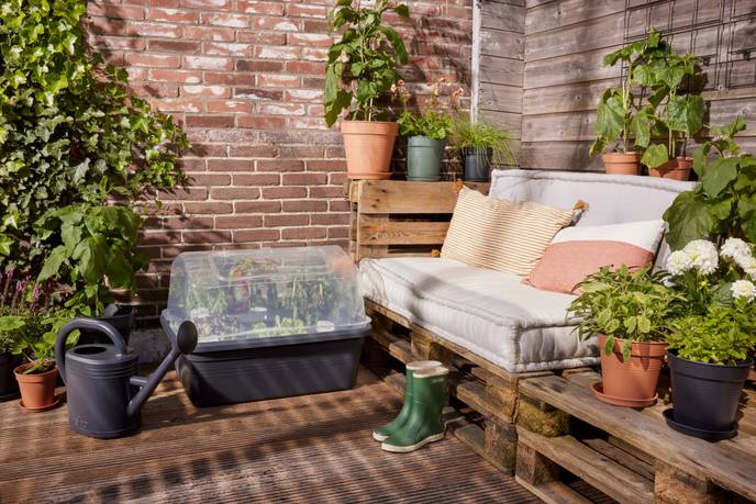 green basics grow garden house l transparente